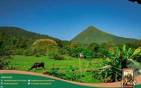 Tío Felix Eco Lodge