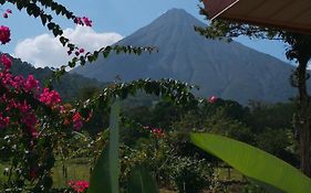 Tío Felix Eco Lodge